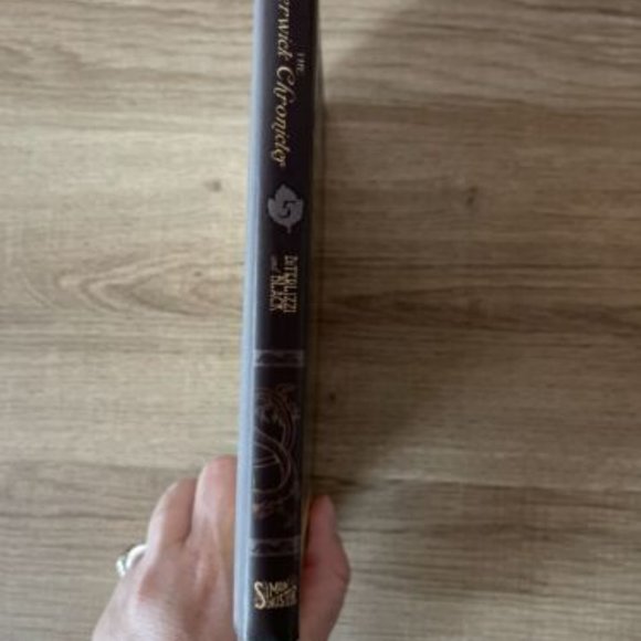 The Spiderwick Chronicles: The Wrath of Mulgarath Hardcover Book #5 - Picture 3 of 5